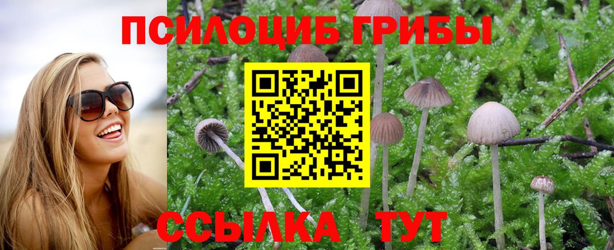 Галлюциногенные грибы GOLDEN TEACHER Вольск