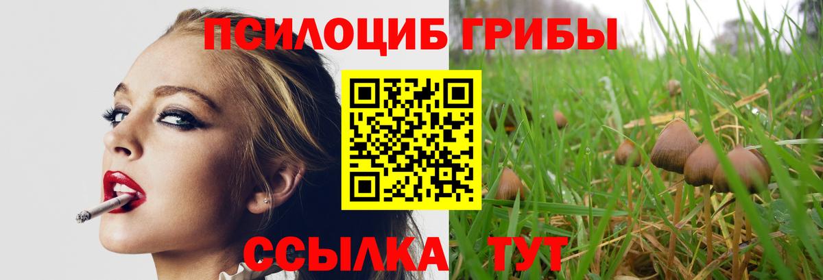 Псилоцибиновые грибы Psilocybe  Галлюциногенные грибы Psilocybine cubensis  Вольск  Вход с VPN 